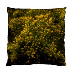 Yellow Goldrenrod Standard Cushion Case (one Side) by okhismakingart