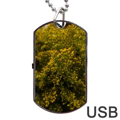 Yellow Goldrenrod Dog Tag Usb Flash (one Side) by okhismakingart