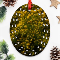 Yellow Goldrenrod Oval Filigree Ornament (two Sides) by okhismakingart