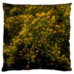 Yellow Goldrenrod Standard Flano Cushion Case (one Side) by okhismakingart