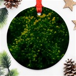 Green Goldenrod Ornament (Round) Front