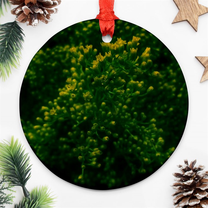 Green Goldenrod Ornament (Round)