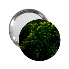 Green Goldenrod 2 25  Handbag Mirrors by okhismakingart