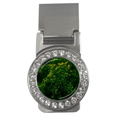 Green Goldenrod Money Clips (cz)  by okhismakingart