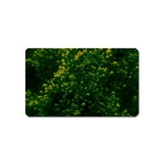 Green Goldenrod Magnet (name Card) by okhismakingart