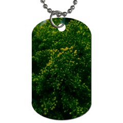 Green Goldenrod Dog Tag (two Sides) by okhismakingart