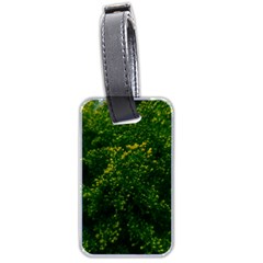 Green Goldenrod Luggage Tags (two Sides) by okhismakingart