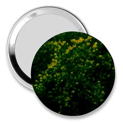 Green Goldenrod 3  Handbag Mirrors by okhismakingart