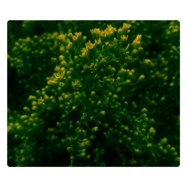 Green Goldenrod Double Sided Flano Blanket (Small) 