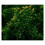 Green Goldenrod Double Sided Flano Blanket (Small)  50 x40  Blanket Back