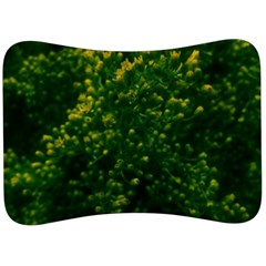 Green Goldenrod Velour Seat Head Rest Cushion