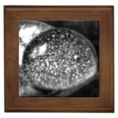 Black-and-white Water Droplet Framed Tiles by okhismakingart