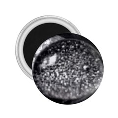 Black-and-white Water Droplet 2 25  Magnets by okhismakingart