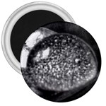 Black-and-White Water Droplet 3  Magnets Front