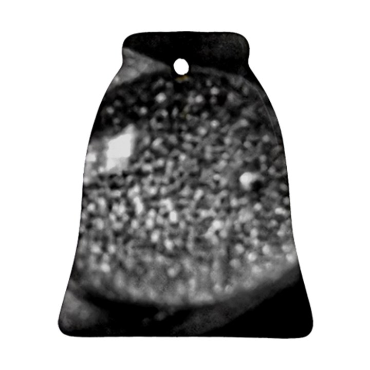 Black-and-White Water Droplet Ornament (Bell)