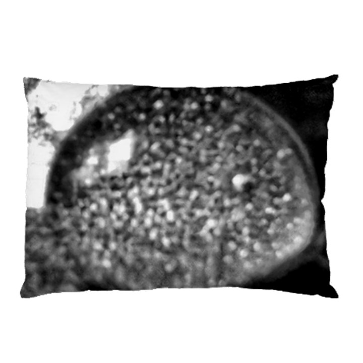 Black-and-White Water Droplet Pillow Case (Two Sides)