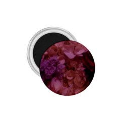 Pink Hydrangeas 1 75  Magnets by okhismakingart