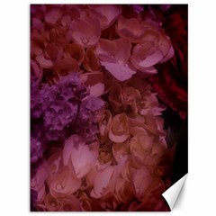 Pink Hydrangeas Canvas 36  X 48  by okhismakingart