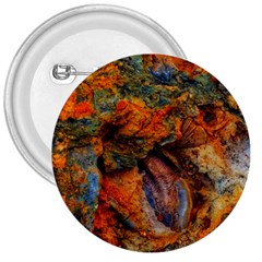 Rainbow Fossil 3  Buttons by okhismakingart