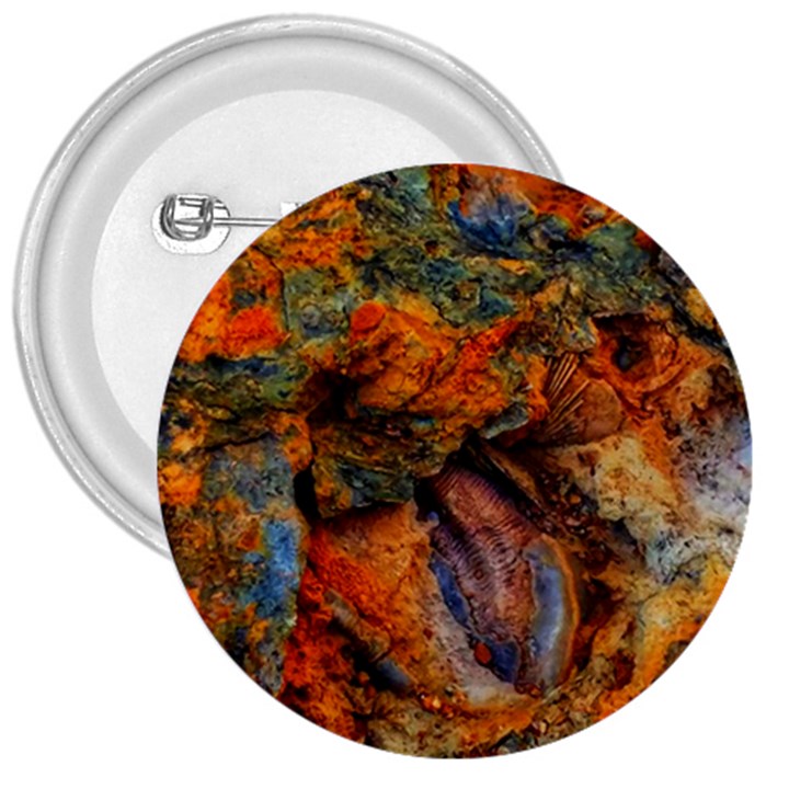 Rainbow Fossil 3  Buttons