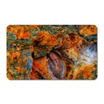 Rainbow Fossil Magnet (Rectangular) Front