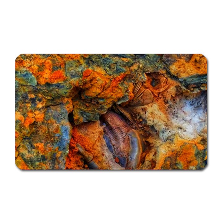 Rainbow Fossil Magnet (Rectangular)