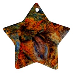 Rainbow Fossil Star Ornament (two Sides) by okhismakingart