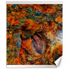 Rainbow Fossil Canvas 8  X 10  by okhismakingart