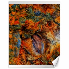 Rainbow Fossil Canvas 18  X 24  by okhismakingart