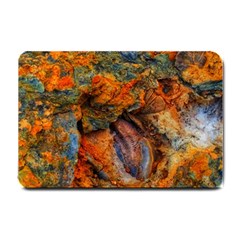 Rainbow Fossil Small Doormat  by okhismakingart