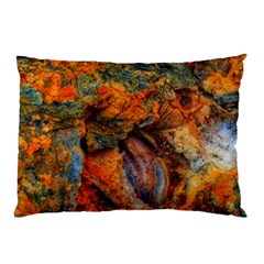 Rainbow Fossil Pillow Case by okhismakingart