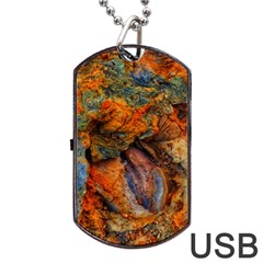 Rainbow Fossil Dog Tag Usb Flash (two Sides) by okhismakingart