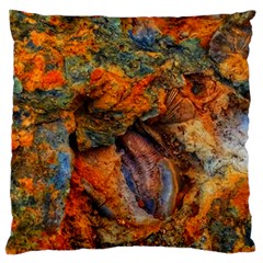 Rainbow Fossil Large Cushion Case (two Sides) by okhismakingart