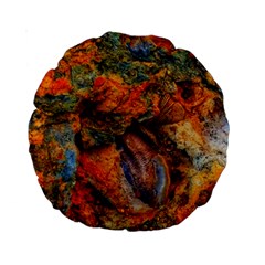 Rainbow Fossil Standard 15  Premium Round Cushions by okhismakingart