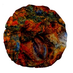 Rainbow Fossil Large 18  Premium Round Cushions by okhismakingart