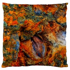 Rainbow Fossil Standard Flano Cushion Case (one Side) by okhismakingart