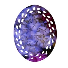 Hydrangea Arrangement Ii (blue Tint) Ornament (oval Filigree) by okhismakingart