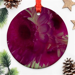 Pink Highlighted Flowers Ornament (round) by okhismakingart