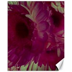 Pink Highlighted Flowers Canvas 11  x 14  10.95 x13.48  Canvas - 1