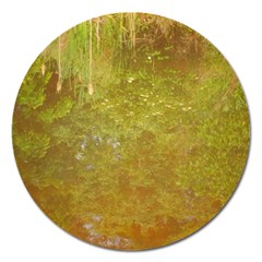 Lake Reflection Magnet 5  (round) by okhismakingart