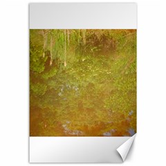 Lake Reflection Canvas 24  X 36  by okhismakingart