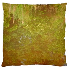 Lake Reflection Large Cushion Case (one Side) by okhismakingart