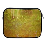 Lake Reflection Apple iPad 2/3/4 Zipper Cases Front