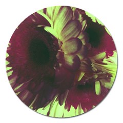 Green Glowing Flower Magnet 5  (round) by okhismakingart