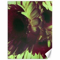 Green Glowing Flower Canvas 18  X 24  by okhismakingart