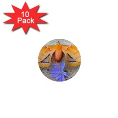 Moth And Chicory 1  Mini Magnet (10 Pack)  by okhismakingart