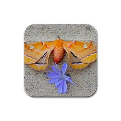 Moth And Chicory Rubber Square Coaster (4 Pack)  by okhismakingart