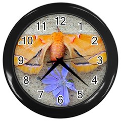 Moth And Chicory Wall Clock (black) by okhismakingart