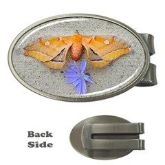 Moth And Chicory Money Clips (oval)  by okhismakingart