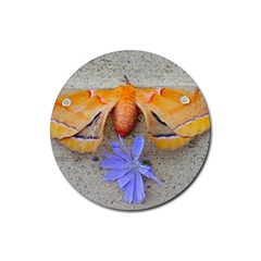 Moth And Chicory Rubber Round Coaster (4 Pack)  by okhismakingart